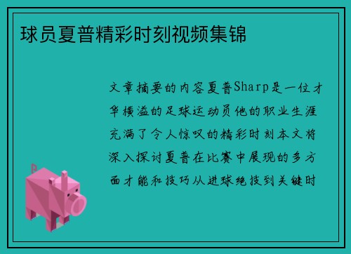 球员夏普精彩时刻视频集锦