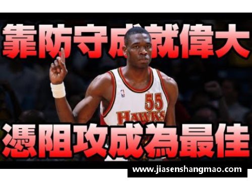 如何观看最新的NBA直播？